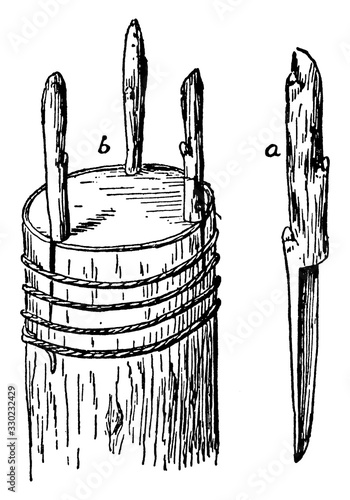 Grafting, vintage illustration