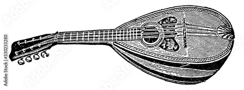 Mandolin/String Instrument, vintage illustration.