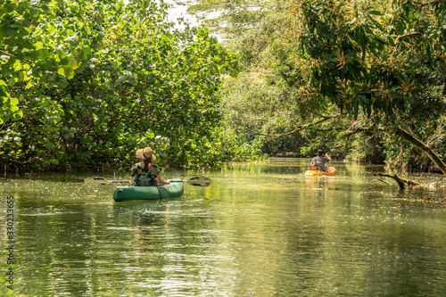 Visitors paddling kayaks on a calm river with trees line both banks, leaves in the water, Wailua River, Kauai, Hawaii