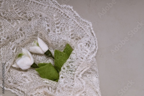  A large fragment of a bouquet of two snowdrops wrapped in a down shawl on the left.