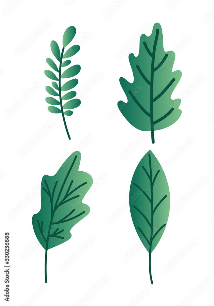 Isolated natural leaves vector design Isolated natural leaves vector design