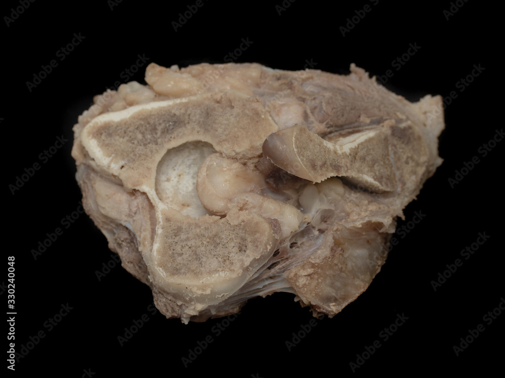 A piece of cooked meat with bone, isolated. A piece of cooked meat with bone, isolated.