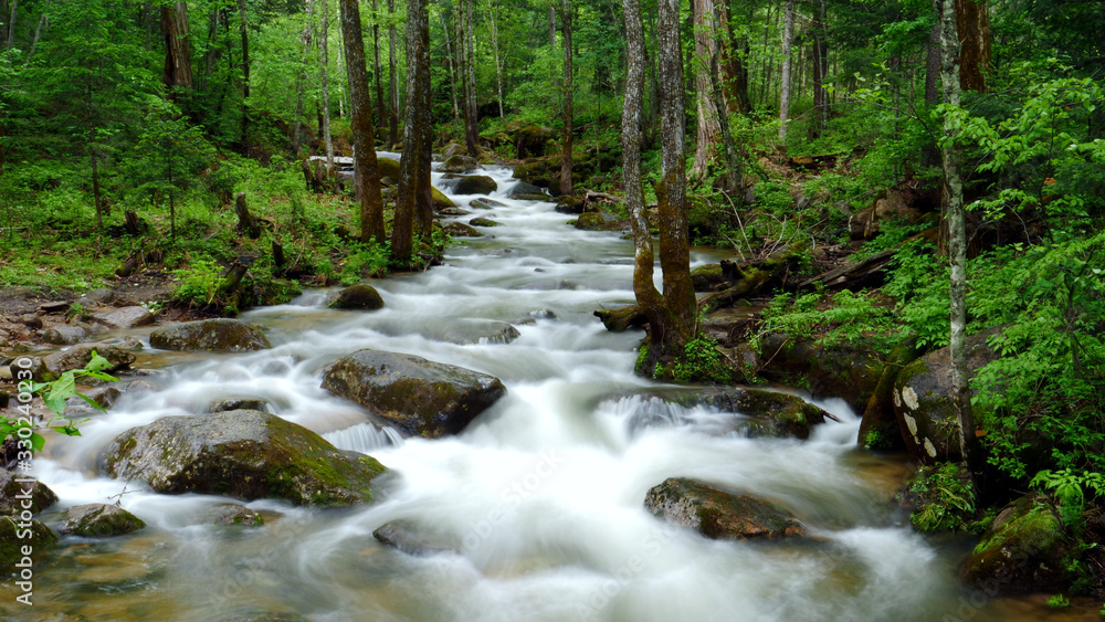 Stream flowing over mossy rocks in green forest Stream flowing over mossy rocks in green forest