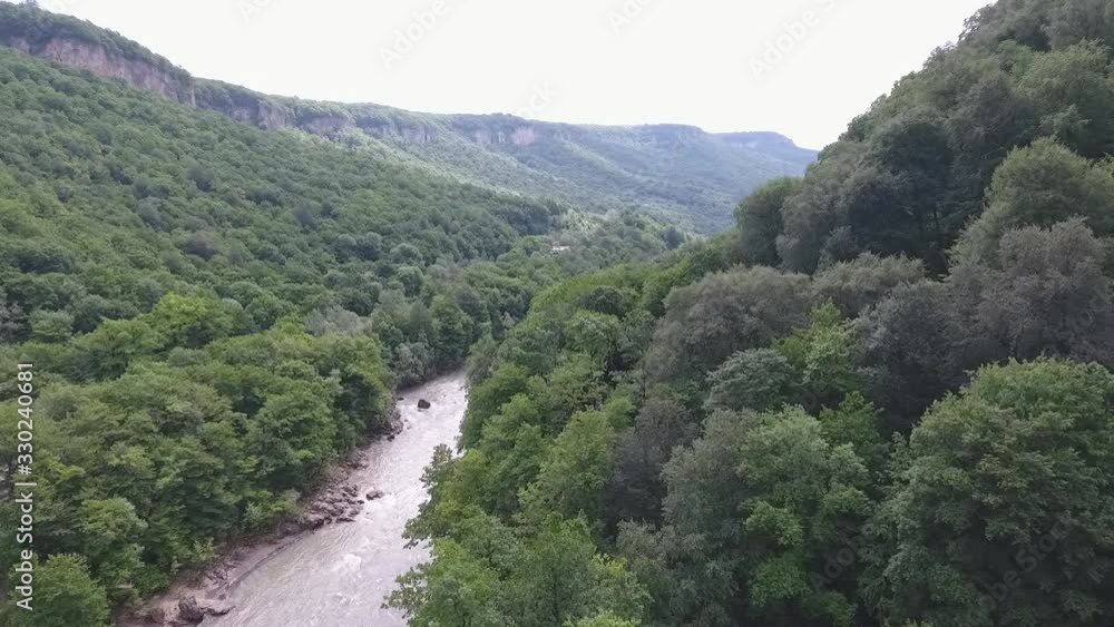 the river in the gorge in the Caucasus mountains, among dense trees the river in the gorge in the Caucasus mountains, among dense trees