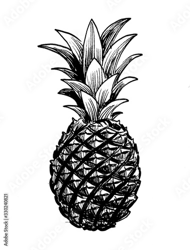 Pineapple fruit. Ink black and white drawing