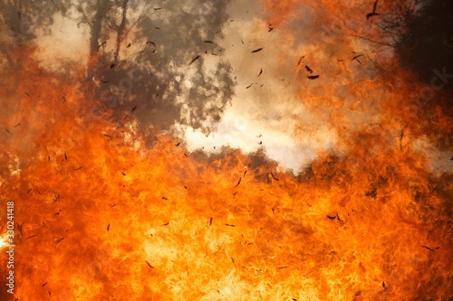 Australian bush fire