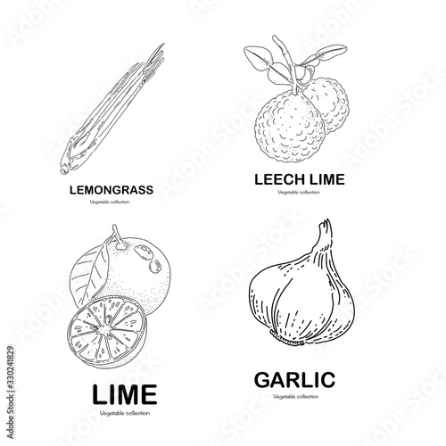 Set of vegetables
