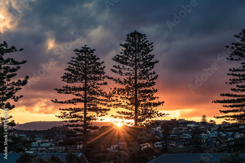 Sunset over tree in Kiama, NSW