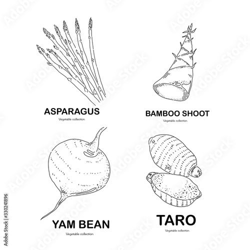 Set of vegetables