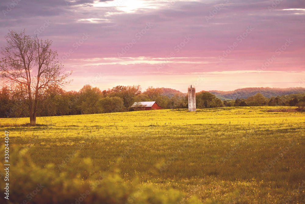 Obraz premium red barn yellow field