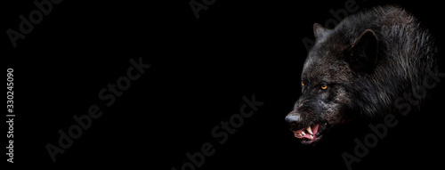 Obraz na plátně Template of black wolf with a black background