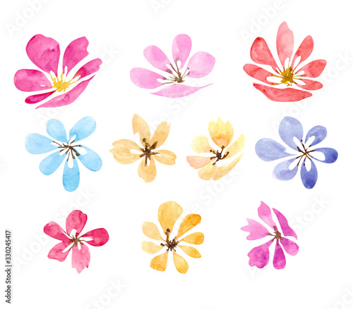 Set of sketch style watercolor blue,pink and red rose flowers, blooms, blossoms isolated on white background. Simple pink and red watercolor rose flowers, collection of decoration element
