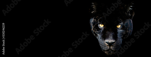 Template of Black panther with a black background