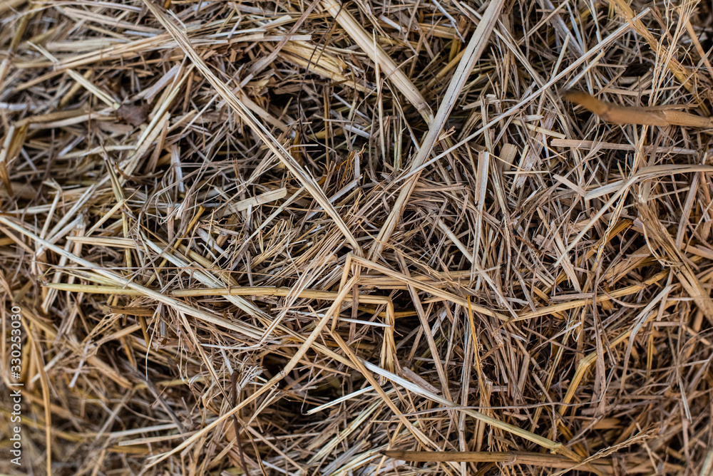 background of dry straw