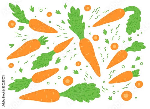 Wallpaper Mural Carrot vector illustration isolated set. Concept of healthy food, vegetable for background, icon design. Carrot have abstract, simple cartoon, hand drawn style. Torontodigital.ca