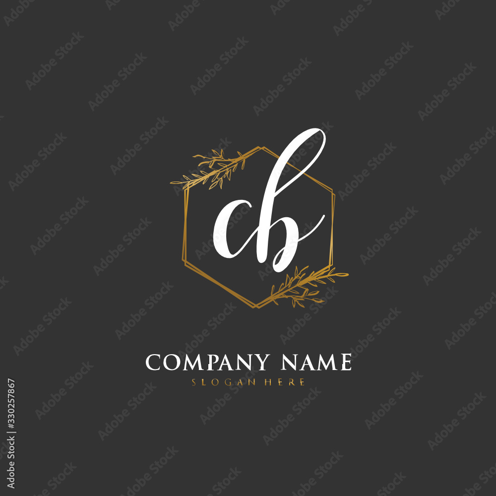 Handwritten initial letter C B CB for identity and logo. Vector logo template with handwriting and signature style. Handwritten initial letter C B CB for identity and logo. Vector logo template with handwriting and signature style.