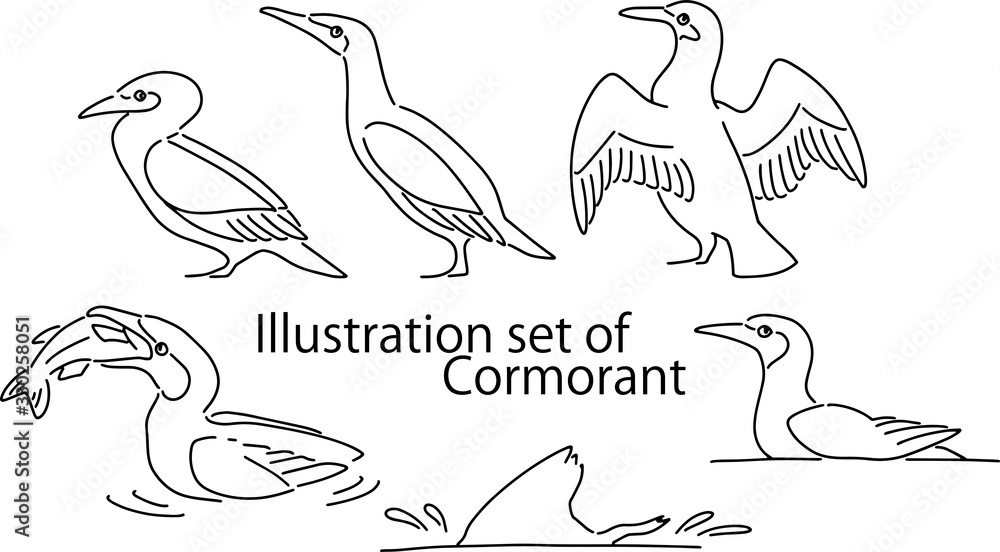 鵜のイラストセット Stock Vector Adobe Stock