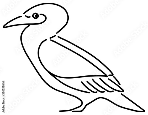 立っている鵜のイラスト1