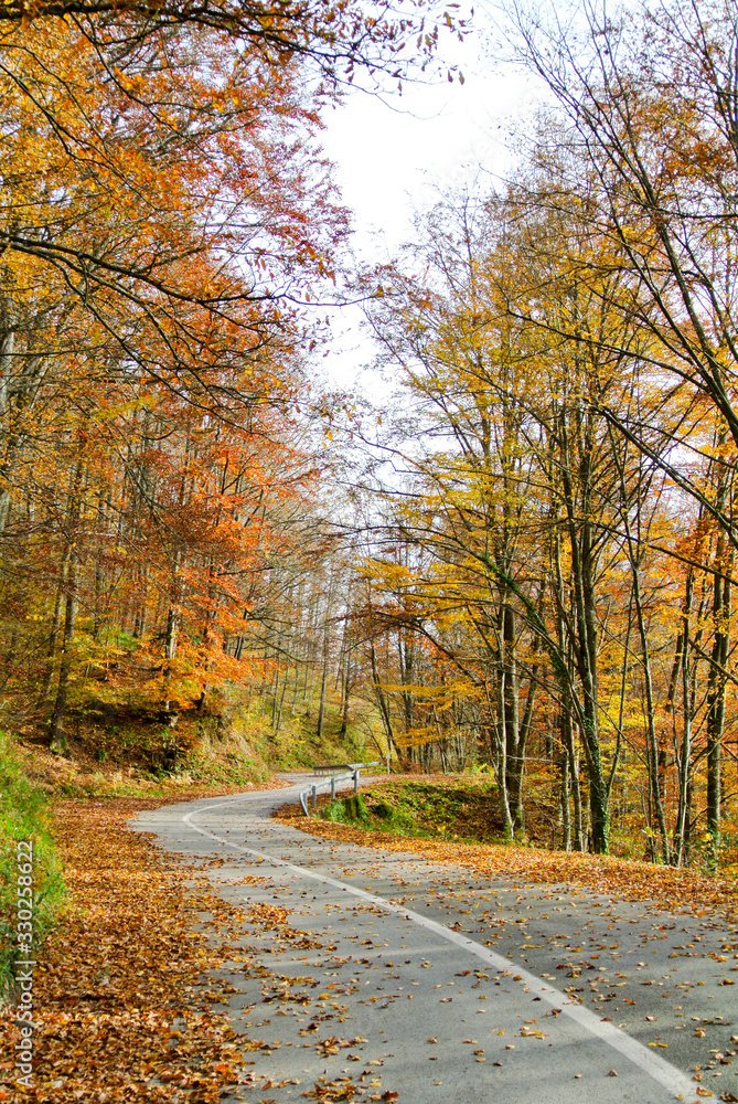 Curvy asphalt road through forest in autumn (with trees with colorful yellow, orange, red, brown, green leaves), on mountain Kozara, in national park, near city Prijedor, RS, Bosnia and Herzegovina
