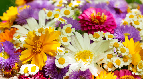 bouquet of various summer flowers as background