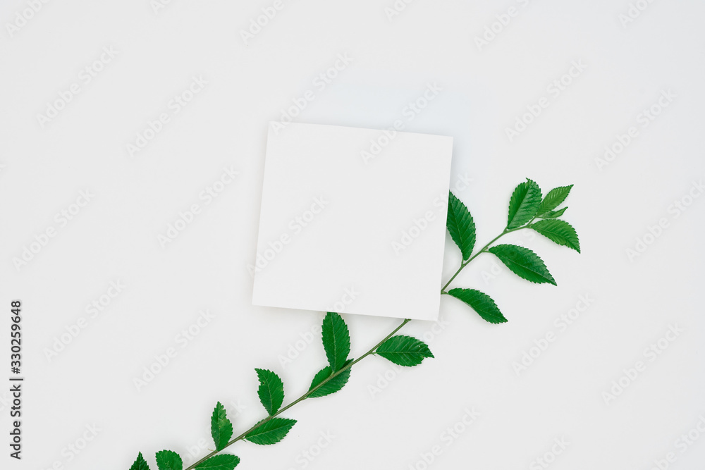 Creative layout made of papers and leaves Flat lay. Minimal nature concept.