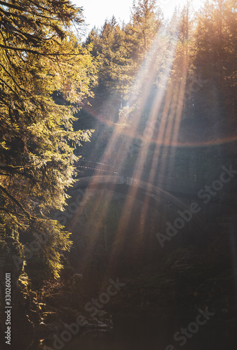 Sun Rays on Bridge (Moulton Falls, Washington)