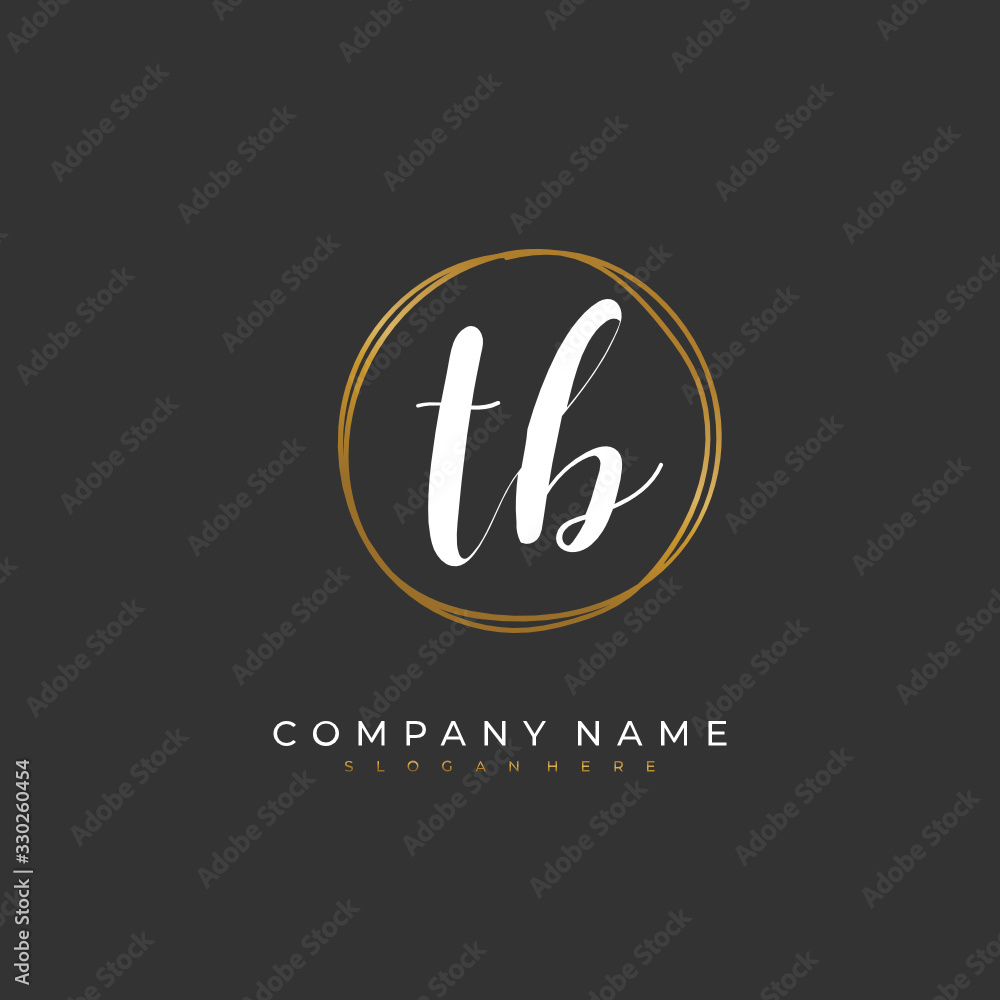 Handwritten initial letter T B TB for identity and logo. Vector logo template with handwriting and signature style. Handwritten initial letter T B TB for identity and logo. Vector logo template with handwriting and signature style.