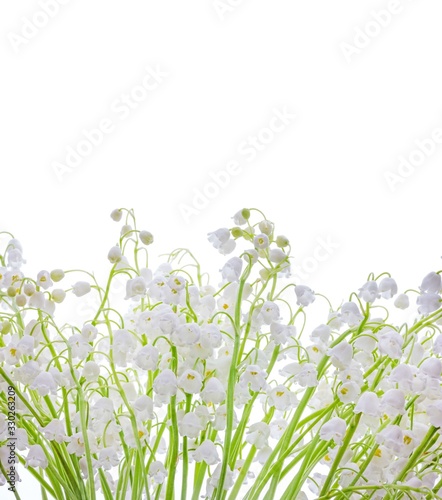 delicate bells white buds flowers of Lily of the valley close up on a white background with a copy space