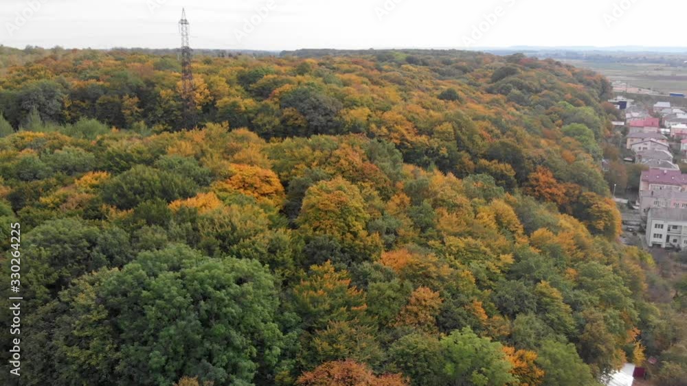 Top down autumn wood. Nature background. Aerial top view of autumn forest with colorful trees. Top down autumn wood. Nature background. Aerial top view of autumn forest with colorful trees.