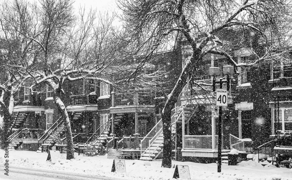 Fototapeta premium Snowy day in the city