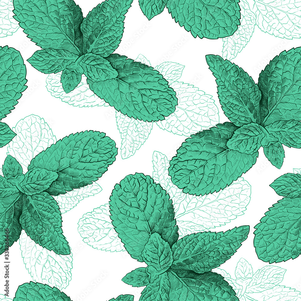 Seamless pattern with green mint foliage. An engraved image of Peppermint ..Hand drawn vector herbal illustration on white background.. Seamless pattern with green mint foliage. An engraved image of Peppermint ..Hand drawn vector herbal illustration on white background..