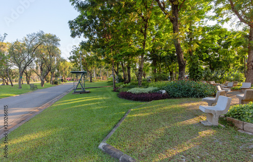Beautiful view in the park in the evening