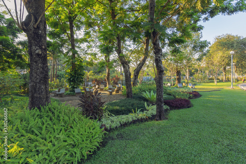 Beautiful view in the park in the evening