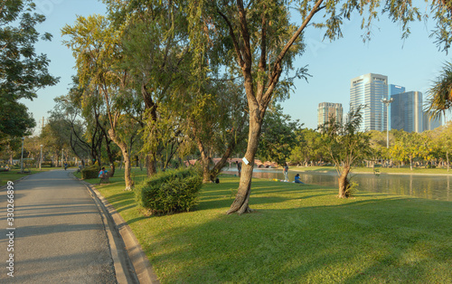 Beautiful path view in the park in the evening.