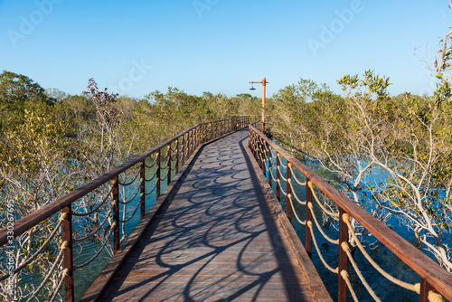 Mangrove walk public park in Jubail island Abu Dhabi, UAE photo