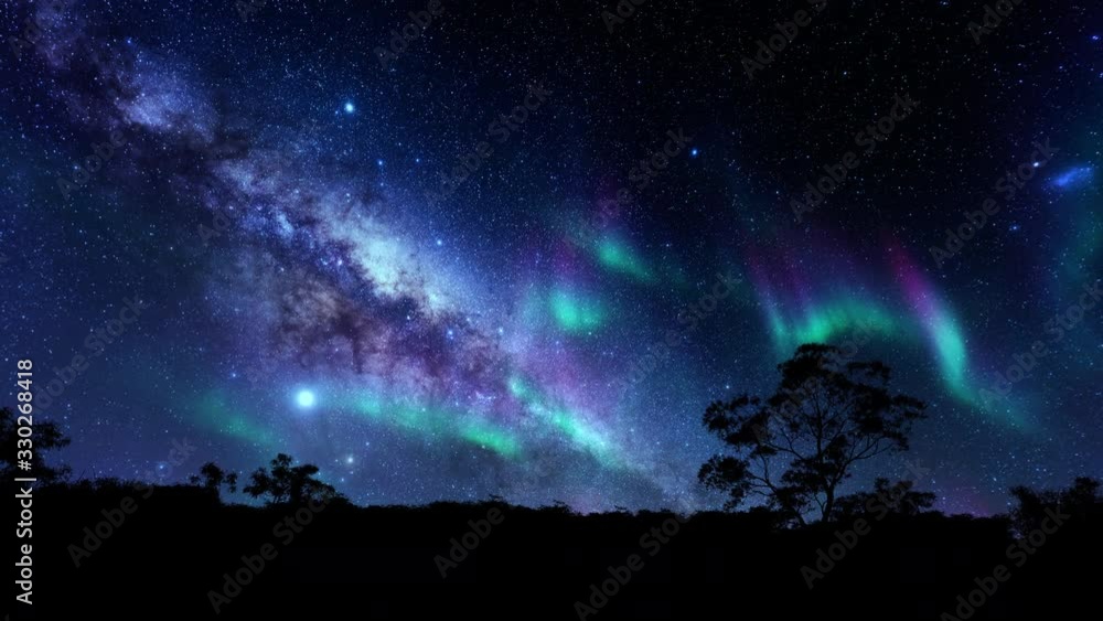 Trees silhouettes against magical timelapse northern lights and starry sky, 4K