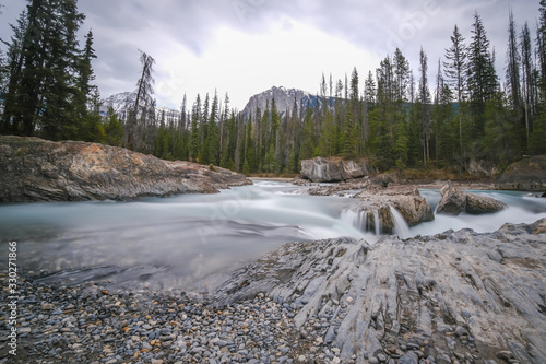 Obraz na płótnie Small waterfall in a forest, Mount Revelstoke National Park bij Revelstoke w salonie
