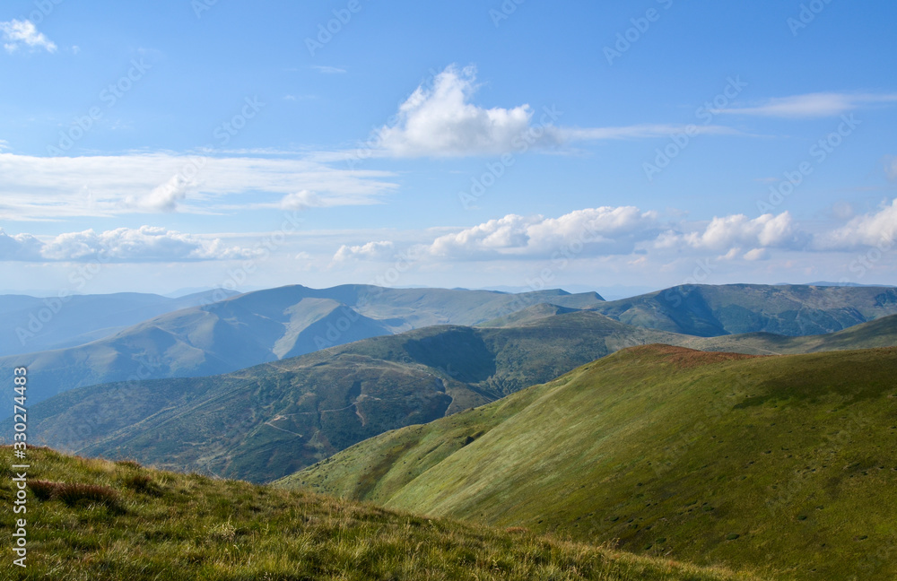 Carpathian mountains in late summer. Green grass and young bilberries under blue sky and white clouds overlooking Svydovets ridge, Ukraine.
