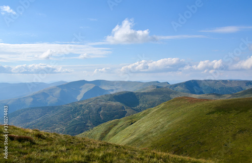 Carpathian mountains in late summer. Green grass and young bilberries under blue sky and white clouds overlooking Svydovets ridge, Ukraine.