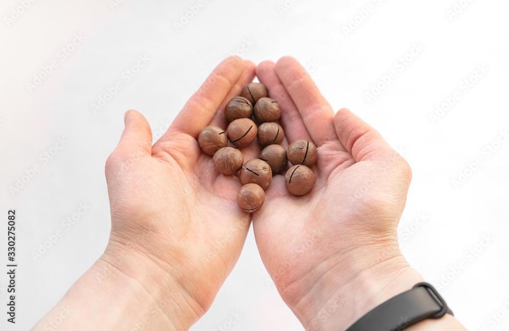 Macadamia nuts in hand close-up on a white isolated background with space for writing. A handful of Australian nuts in the palm. Macadamia nuts in hand close-up on a white isolated background with space for writing. A handful of Australian nuts in the palm.