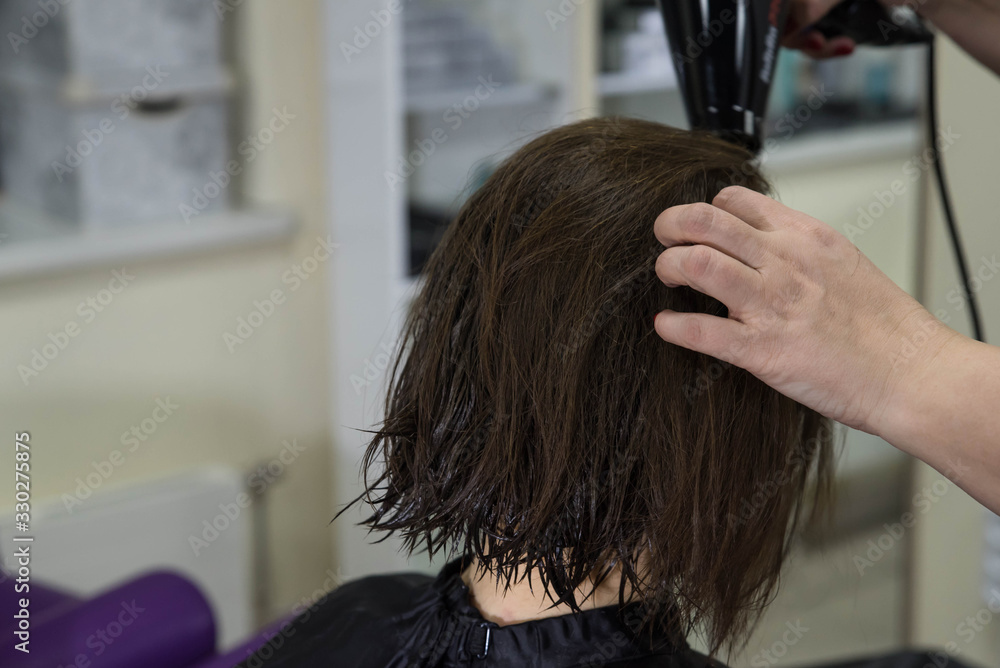 Fototapeta premium Professional hairdresser drying woman's hair with hair dryer in beauty salon after beauty procedures and hair coloring