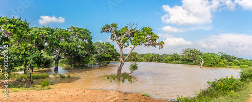 Tableau sur toile Panoramic view at the Nature in Yala National Park - Sri Lanka