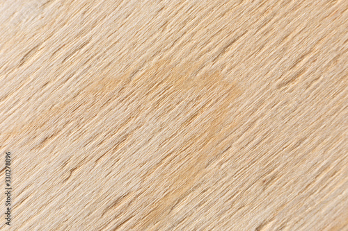 Texture of birch plywood use as background or wallpaper