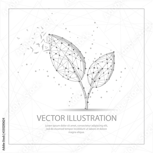 Leaves digitally drawn low poly wire frame on white background.