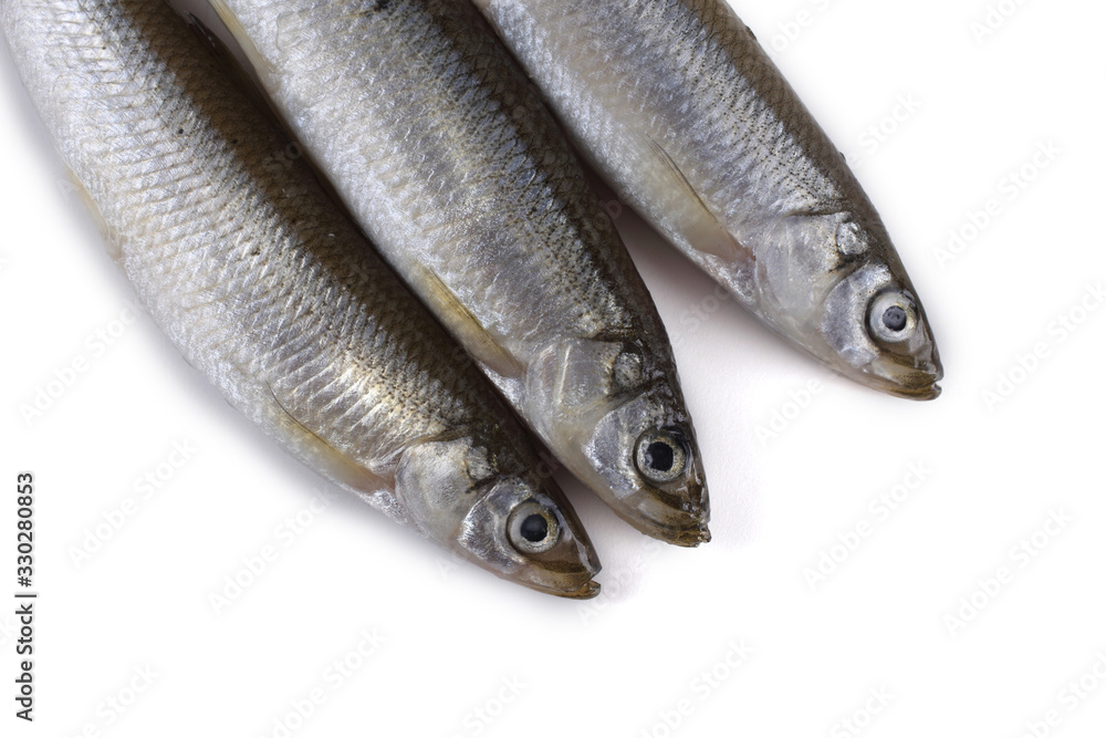 Smelt fish isolated on white. Pacific smelt variety Smelt fish isolated on white. Pacific smelt variety