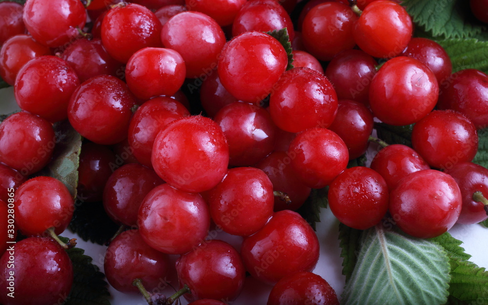 Nanking cherry background Nanking cherry background