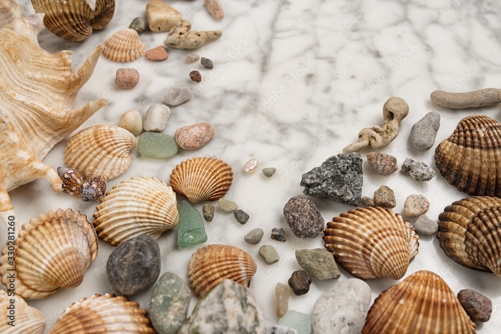 sea pearl in the center of the frame,  stones and shells lying on a marble background, composition of sea stones and seashells, marine composition, composition of seashells, jellyfish