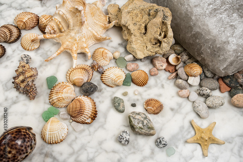 star, stones and shells lying on a marble background, composition of sea stones and seashells, marine composition, composition of seashells, starfish, jellyfish, 