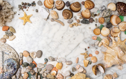 Seashells  starfish and sea pebbles frame  composition of sea stones and seashells  marine composition  composition of seashells  starfish  jellyfish  frame made of sea shells  stones 