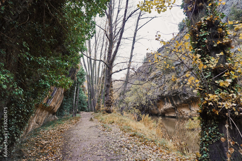Paseo